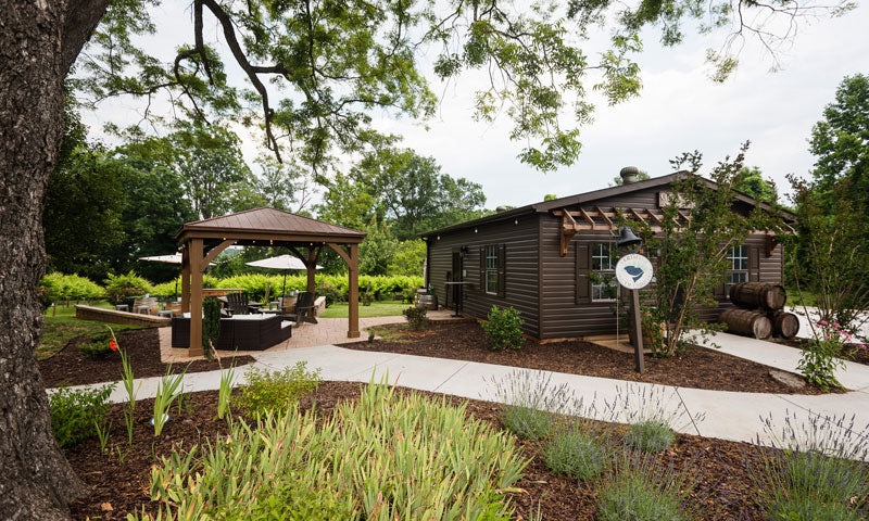 Root to Rise - A Spring Equinox Gathering